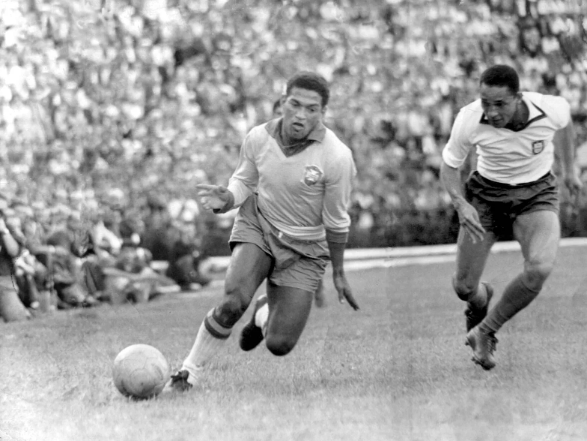 Screenshot 2023 07 20 090637 3