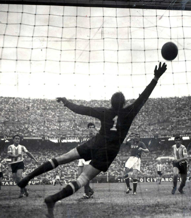 Screenshot 2023 07 20 093412 1