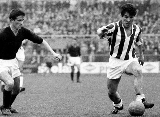 Screenshot 2023 07 20 093728 1